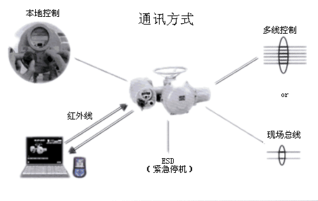 Optical absolute encoder