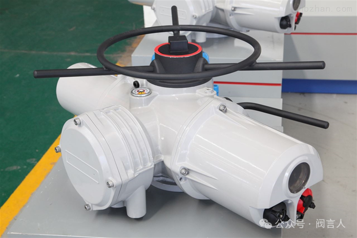Multi-turn electric actuator