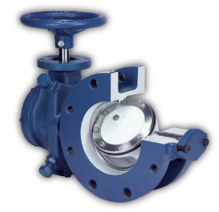 Butterfly valve with worm gear actuator